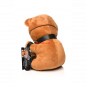 Preview: Gagged Bondage Bear